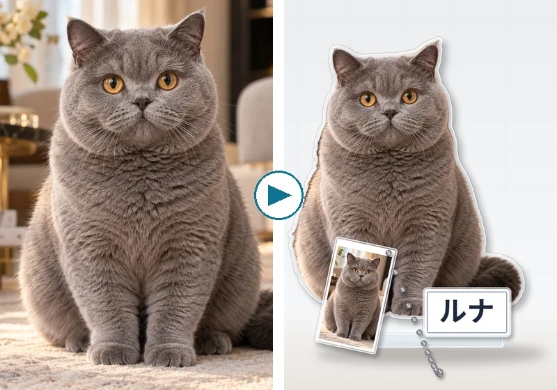 猫の写真から作ったアクリルスタンドの例（左：元の写真、右：アクスタ本体・台座・名前板・キーホルダーの完成イメージ）